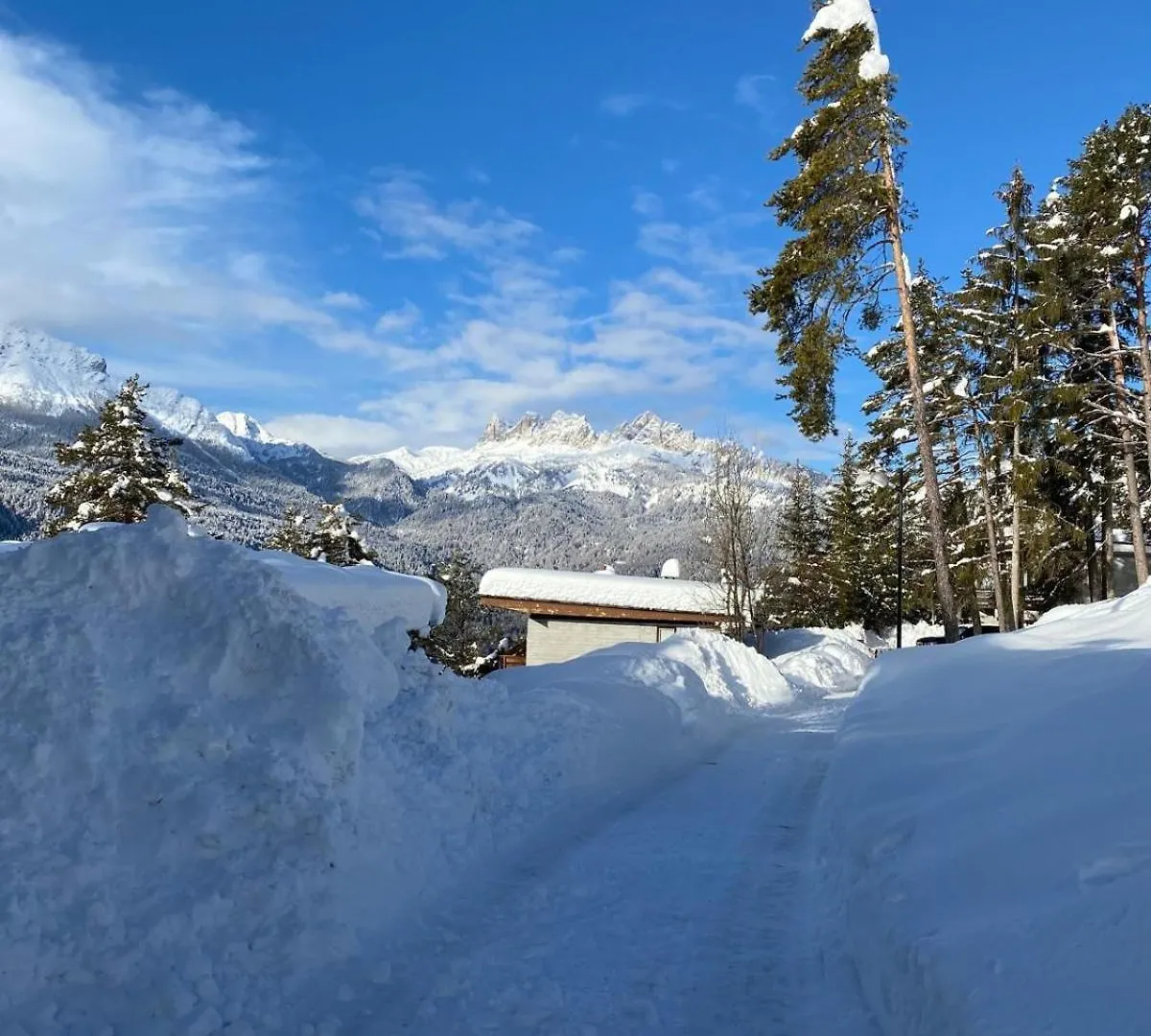 Chalet Con Vista - Olimpiadi 2026 Vodo Cadore 0*,