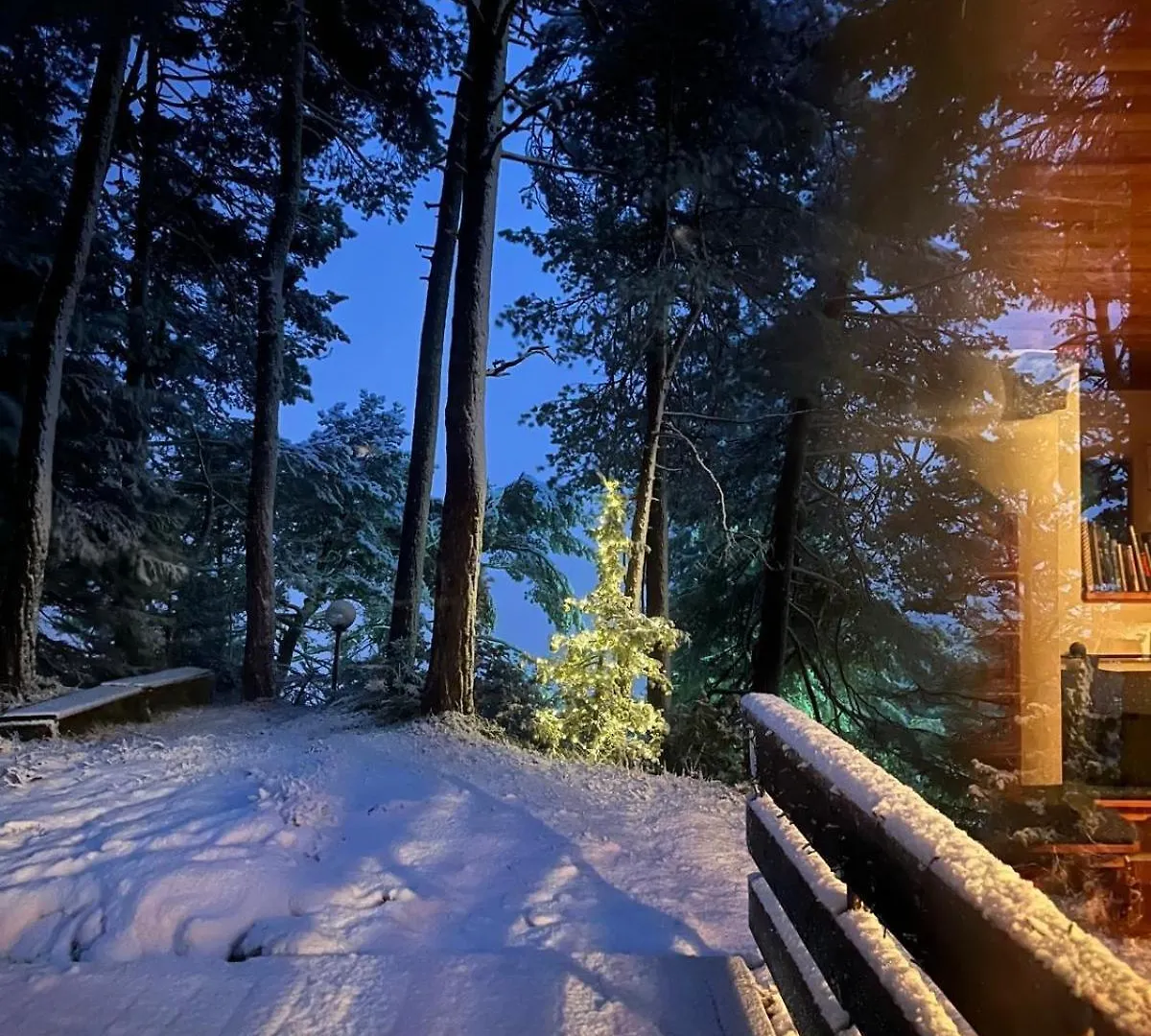 Chalet Con Vista - Olimpiadi 2026 Vodo Cadore Italie